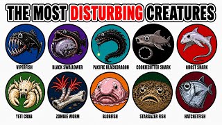 The Most Disturbing Creatures in Each Ocean Layer — Part 2