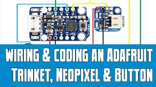 Adafruit Trinket, Neopixel and Button Project Wealth