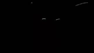 Pirates 5 Inch 60 Gram Canister Shells Skysong