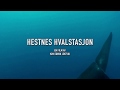 Teaser - &quot;Hestnes Hvalstasjon&quot; - Dokumentar