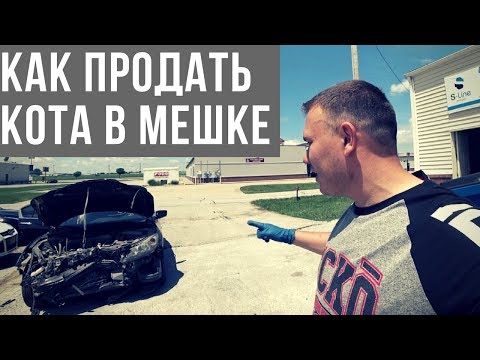 как продать "Кота В Мешке" на аукционе | что бывает если не проверять машину перед покупкой