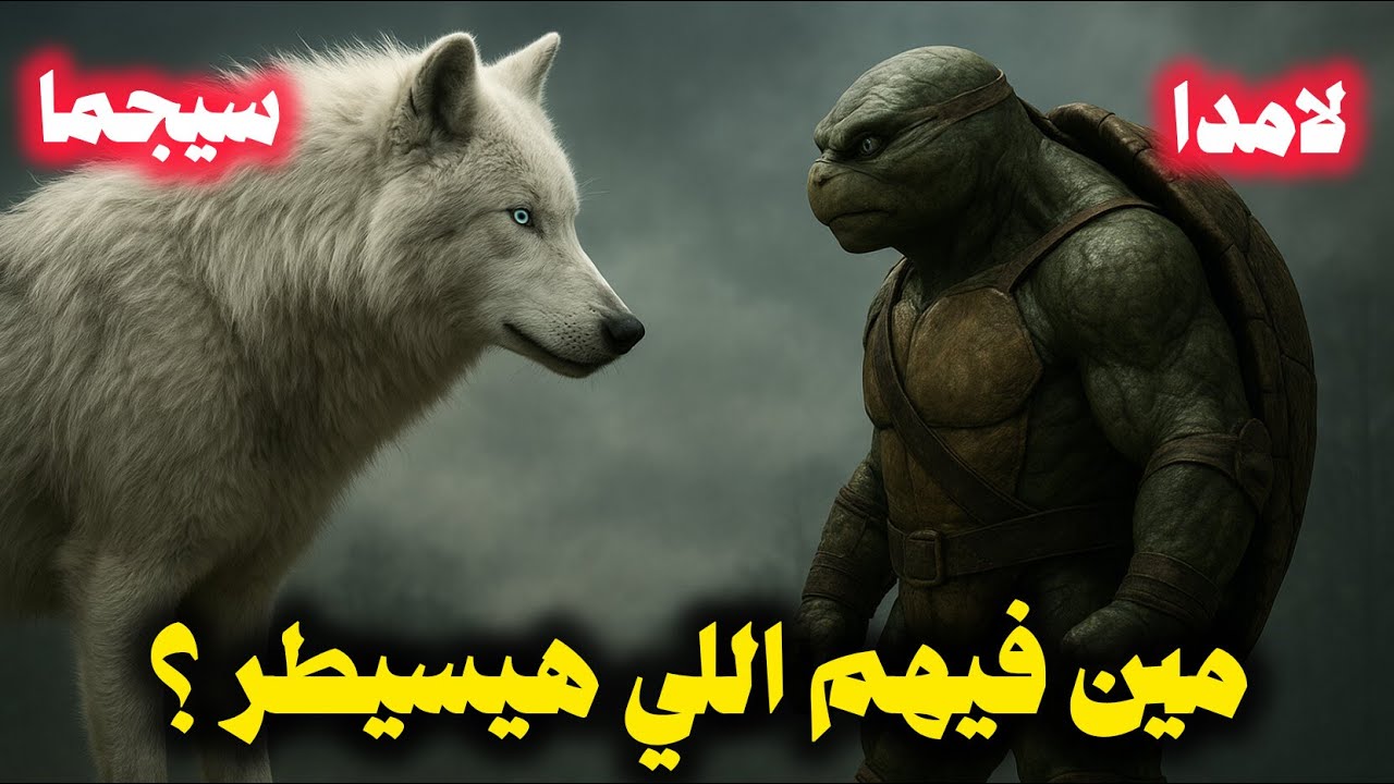 مقارنة بين السيجما و اللامدا ... مين الاقوى ؟