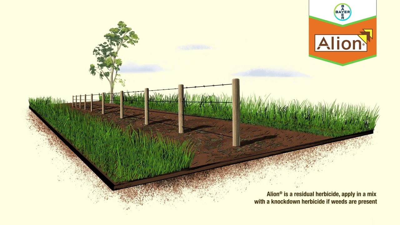 bayer herbicides for lawns Celsius WG Herbicide | Post-emergent herbicide