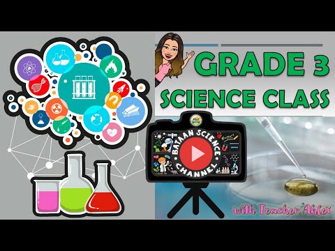 Science Vlog Lesson