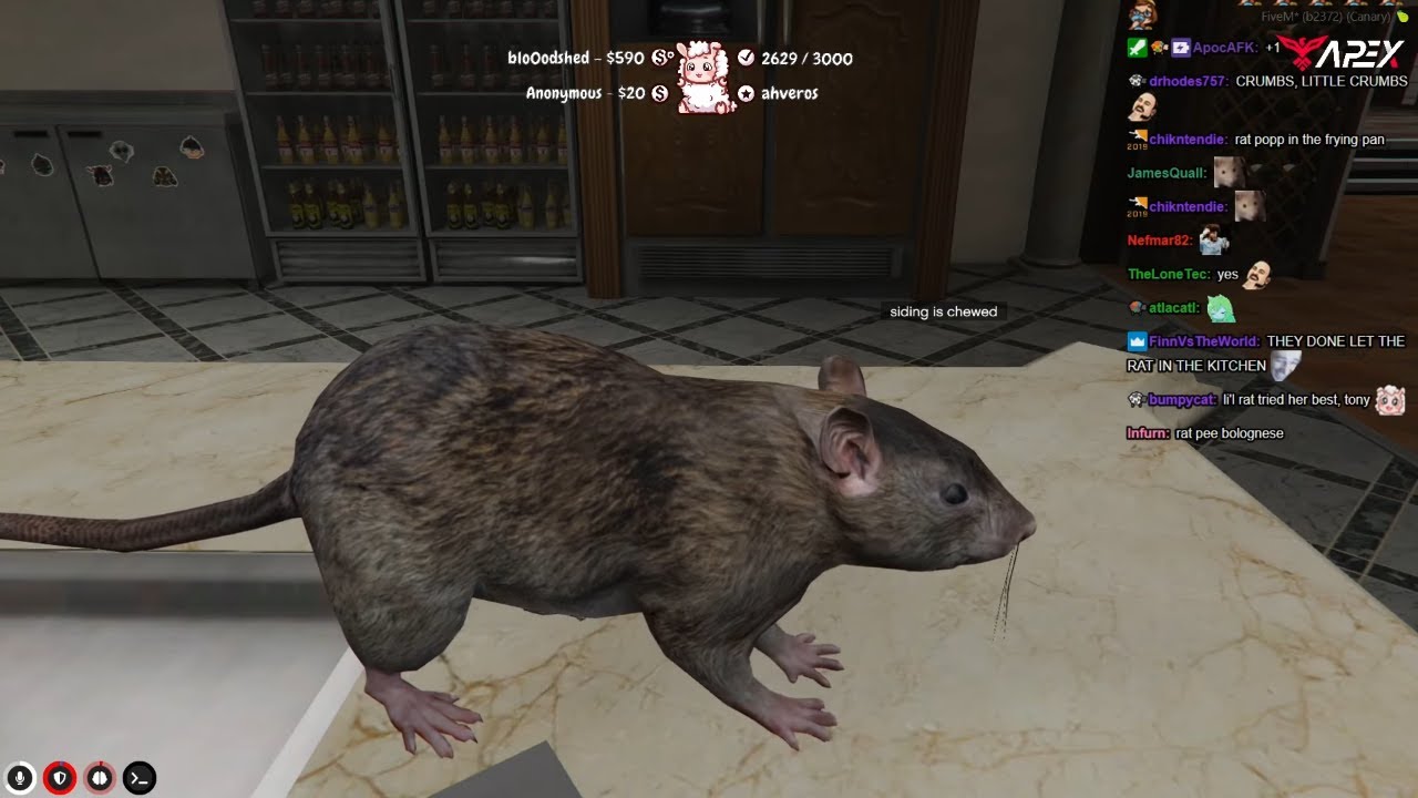 Nakkida's Ratatouille RP at the Clean Manor ft. Tony & Yuno | NoPixel GTA RP