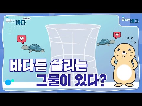 바다를 살리는 그물이 있다? 친환경 그물의 모든 것! [똑똑한 바다]