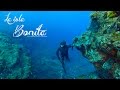 Documental de Pesca Submarina. La Isla Bonita.