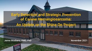 Early Detection and Strategic Prevention of Canine Hemangiosarcoma