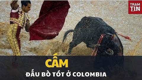 Colombia cấm đấu bò tót; UAE thử nghiệm robot bơm xăng