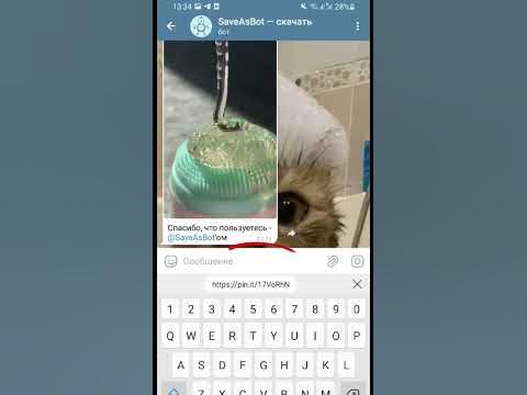 Как скачать видео с пинтереста - YouTube