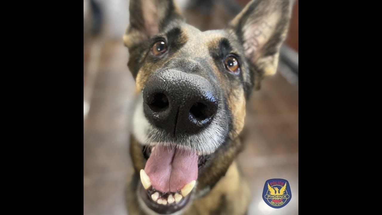 K9 Equipment Grant Video YouTube