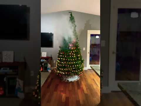Video: Kerstboomverlichtingsceremonies in D.C., MD en VA
