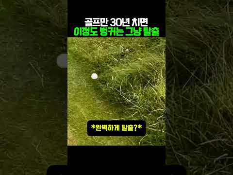골프만 30년 치면이정도 벙커는 그냥 탈출#golf