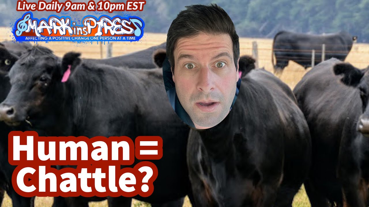 humans-legally-defined-as-chattle-in-blacks-law-dictionary-are-we