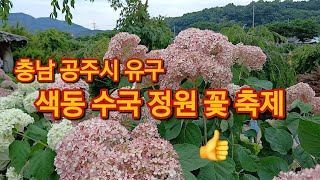 충남 공주시 유구 색동 수국 정원 꽃 축제