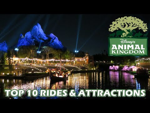 Video: Las 10 mejores atracciones en Disney World's Animal Kingdom