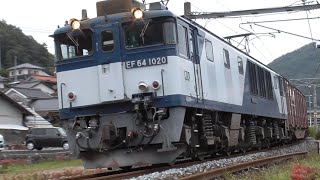 2023.10.08 08:55　EF64 1020牽引　伯備線貨物　コンテナ列車　今じゃ「牛乳パック」が貴重