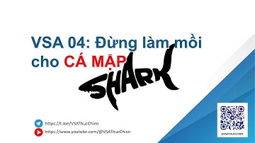 VSA 04: Đừng làm mồi cho Cá Mập