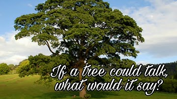 4th std | new syllabus 2017 | 2nd language English | 3rd poem | Environment