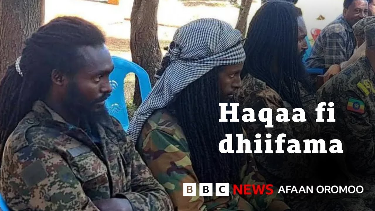 'Hidhattoonni harka kennachaa jiran seeraan nuuf haa gaafataman'- Jiraattota | BBC News Afaan Oromoo