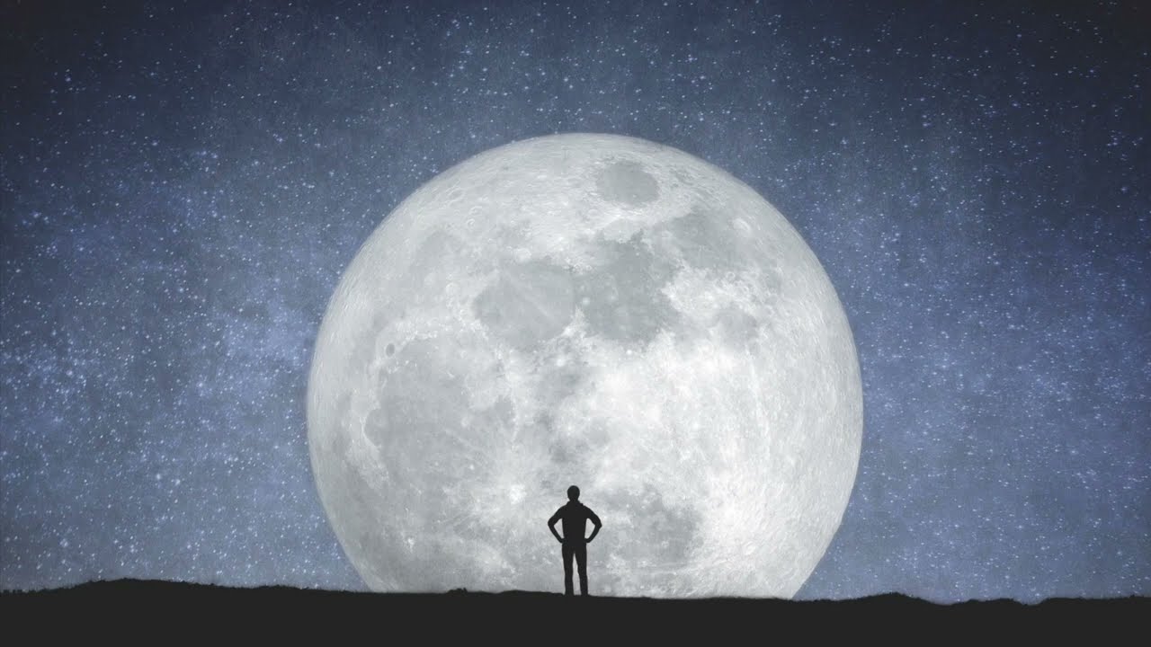 A Year On Earth - You're Not Alone (Official)