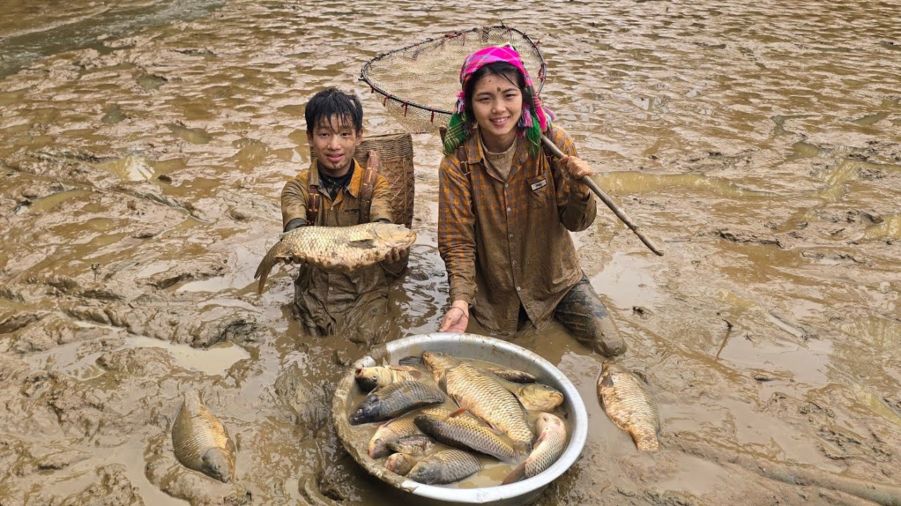 Life in the highlands: draining the ponds to raise carp, harvesting the large fish to sell.