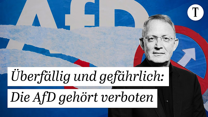 AfD-Verbot: Ist das realistisch? | Bundestag debattiert Parteiverbotsantrag