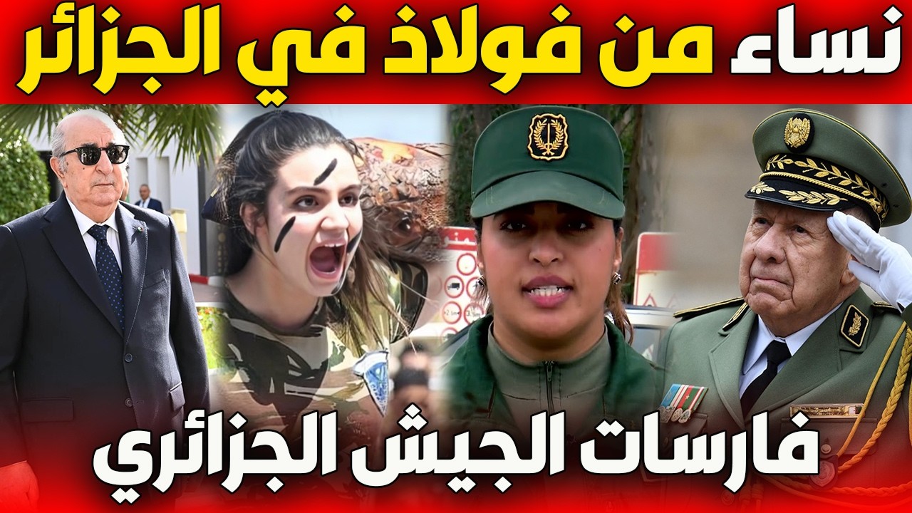 نساء من فولاذ في الجزائر…داخل عالم فارسات الجيش الجزائري | فيلم وثائقي