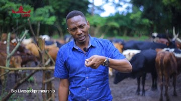 Role of progesterone (CIDR) and prostaglandin in estrous synchronization