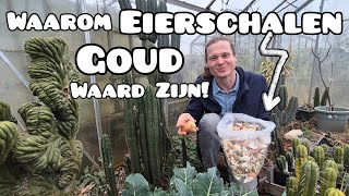 Eierschalen In De Moestuin De Vergeten Magie