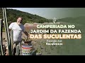 Camperiando na fazenda das suculentas