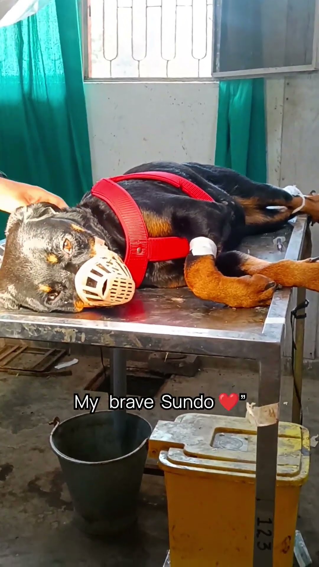 🎁चैटरूम: अर्न & लर्न🤑 - ShareChat