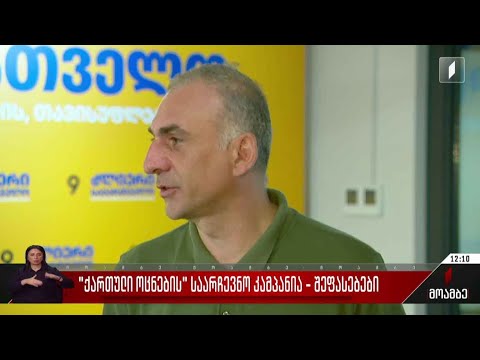 „ქართული ოცნების“ საარჩევნო კამპანია - შეფასებები