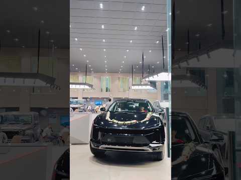 New Car BE6 __ Dr Ragini Mishra ___ International Kathavachika ___ Mandakini Ragini