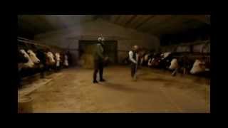 Harlem Shake Cows' house