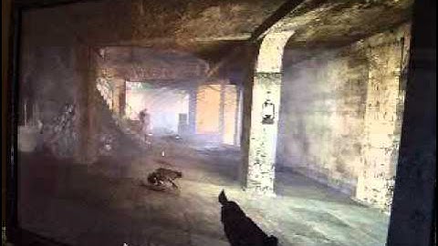 Cool Nazi Zombies COD5 Cheats! (PC ONLY)