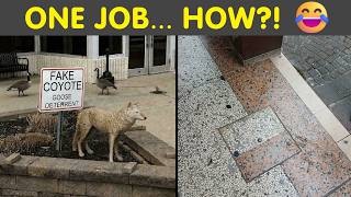 You Had One Job Fails That Are Hilariously Hard to Believe | Humor Sweet
