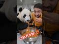 पांडा ने खाया 10X स्पाइसी नूडल्स! 🔥 Giant Panda Eating Extra Spicy Noodle Soup! 🐼😱 #shorts