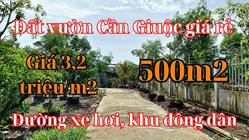 Đất Cần Giuộc. Diện tích 500m2 đất vườn, đường xe hơi khu đông dân cư giá rẻ, SHR