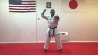 Basic Karate Blocks- Shotokan Karate Profile