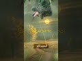 لاتحمل هم الدنيا فانها لله ولاتحمل هم الرزق فانه من الله