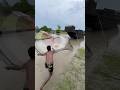 Wow! Monster Fish Caught In Cast Net!#BigFish #MonsterCatch #RiverFishing #CastNet #TrendingShorts