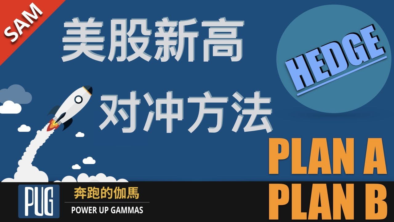 期权怎么玩 | 美股创新高，继续投资还是风险对冲（如何使用期权对冲股票风险）