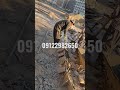 در حال اجرا سنگ لاشه کف 09122982650 احمدی نصب روش سنگ مالون کف در حال اجرا سنگ لاشه کف 09122982650 احمدی نصب روش سنگ مالون کف