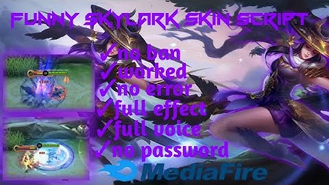 Fanny skylark skin script/no password/beneddeta patch/Marco official 🔥🔥