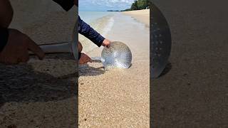 OMG!! We found something famous from the beach!! #Wefoundtreasure #beach #shorts