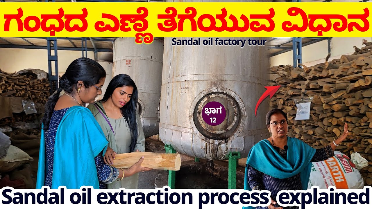 ಶ್ರೀಗಂಧದ ಎಣ್ಣೆ ತಯಾರಿಕೆ ವಿಧಾನ -1ಲೀಟರ್ ಎಣ್ಣೆಗೆ ಎಷ್ಟು KG ಗಂಧದ ಮರ ಬೇಕು ? -Mysore Sandal Oil Factory-12