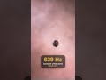 639 Hz Conexión y Relaciones · Alpha #shorts
