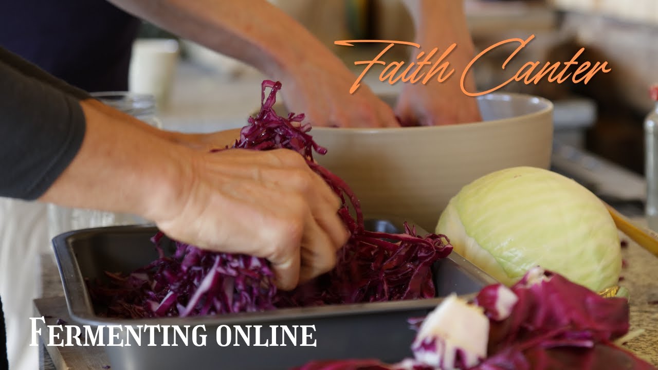 Fermenting Online (live & recorded workshops)