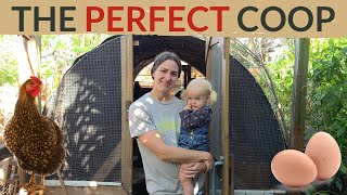 BEST Chicken Coop for ANY Budget + Tips for Designing a Chicken Coop